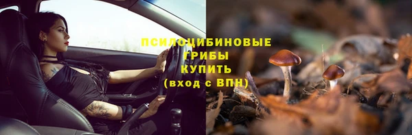 шишки Алзамай