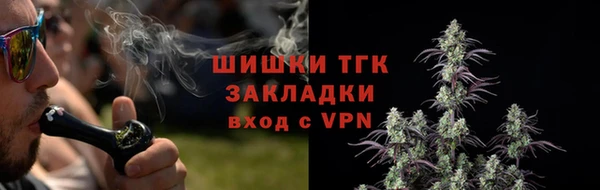 ГАЛЛЮЦИНОГЕННЫЕ ГРИБЫ Алексин