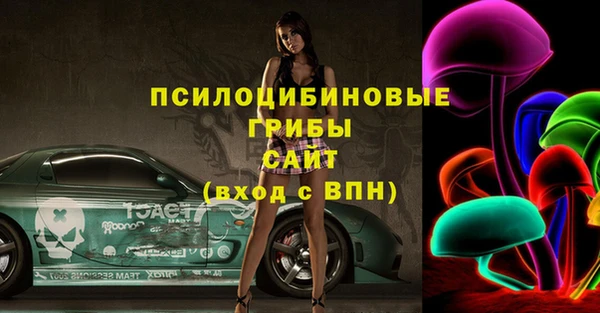 ГАЛЛЮЦИНОГЕННЫЕ ГРИБЫ Алексин